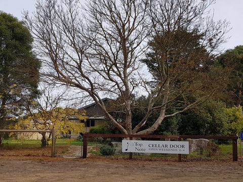 Top Note Vineyard - New Castle Tourism 0