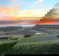 Cape Bernier Vineyard