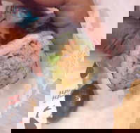 Flavour Cafe Bar - Newcastle Accommodation