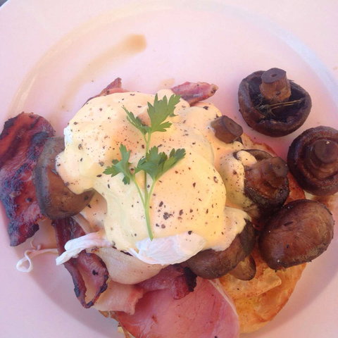 Cafe Scooterini - Newcastle Accommodation 0