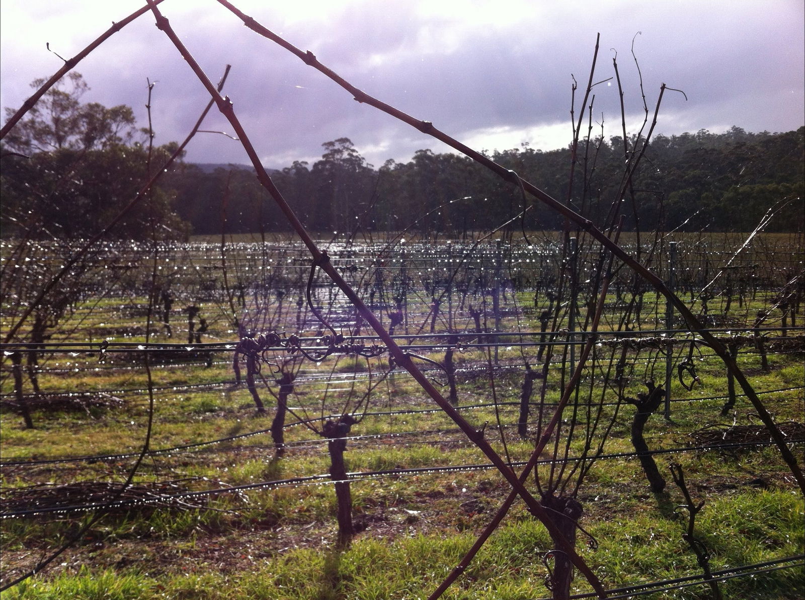 Orford TAS Newcastle Accommodation