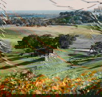 Green Door Winery Cellar Door - New Castle Tourism