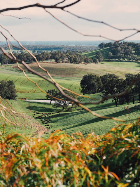 Green Door Winery Cellar Door - New Castle Tourism 0