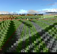 Hawkes Farm - New Castle Tourism