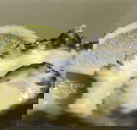 Pearly Oyster Bar and Farm