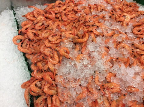 Pearly Oyster Bar And Farm - Newcastle Accommodation 1