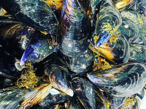 Pearly Oyster Bar And Farm - Newcastle Accommodation 2