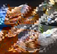 Preachers - New Castle Tourism