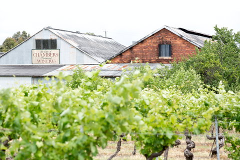 Chambers Rosewood Vineyards - Newcastle Accommodation 1