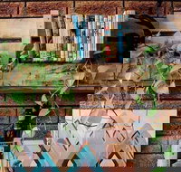 Wilderness Bar - Newcastle Accommodation