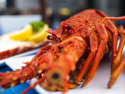 Coles Bay Restaurants and Takeaway Newcastle Accommodation Newcastle Accommodation