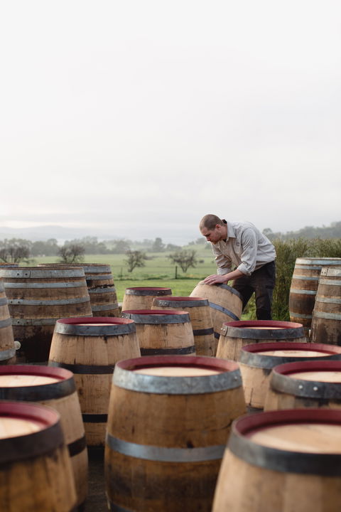 Lark Distillery - New Castle Tourism 2