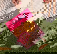 Donut King - Mitchelton - Newcastle Accommodation