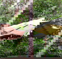 Rainforest Cafe - Newcastle Accommodation