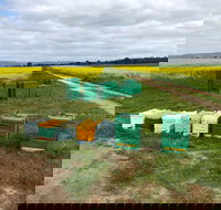 The Basin Backyard - Newcastle Accommodation