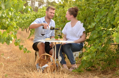 919 Wines - Newcastle Accommodation 0