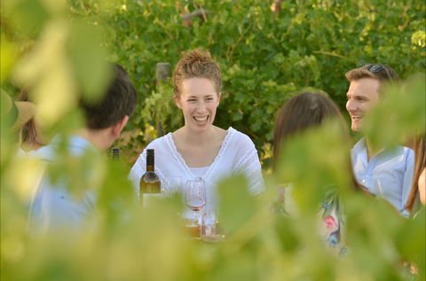 919 Wines - Newcastle Accommodation 2