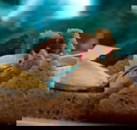 La Cantina - St Leonards - Newcastle Accommodation