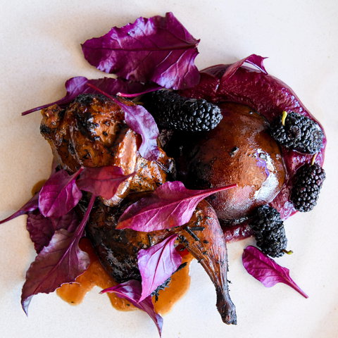 Osteria Il Coccia - Newcastle Accommodation 2