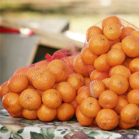 Mathoura Mandarins - New Castle Tourism 0