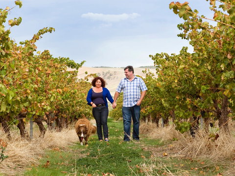 WayWood Wines - Newcastle Accommodation 0