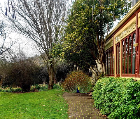 Glen Derwent Tea Rooms - Newcastle Accommodation 0