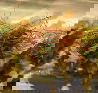 Goldfields Cafe  Bar - Newcastle Accommodation