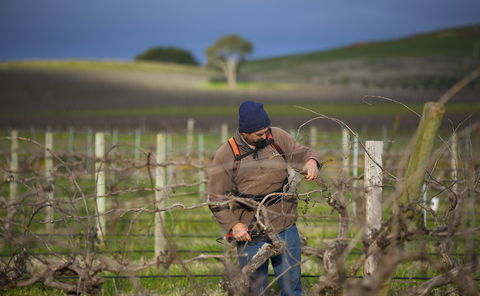 Kurtz Family Vineyards - Newcastle Accommodation 0