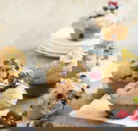 Modern Hunter - New Castle Tourism