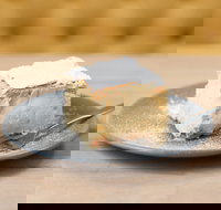 The Vanilla Slice Cafe Sorrento - Newcastle Accommodation