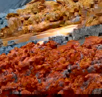 Spice Blast - Newcastle Accommodation