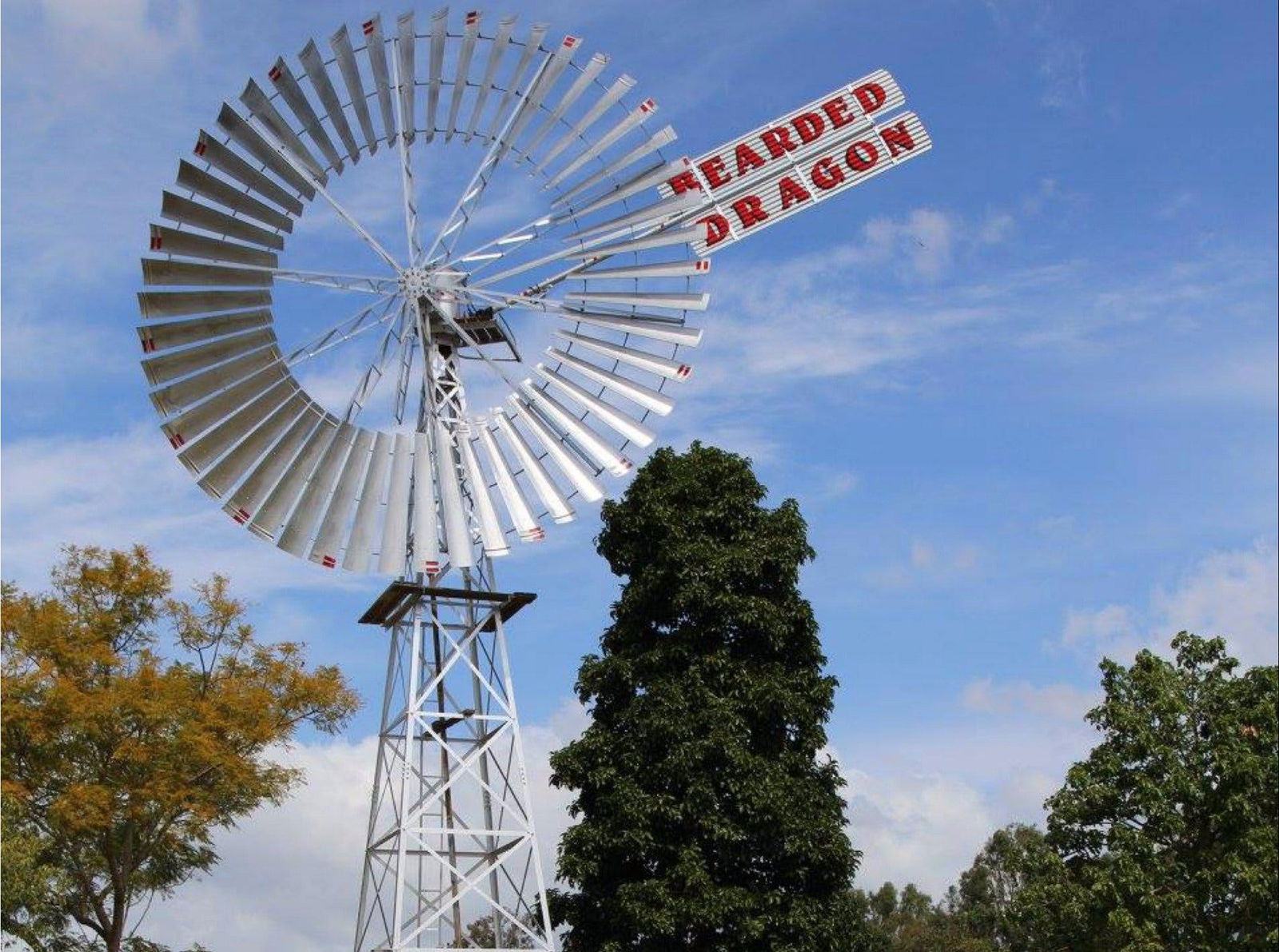 Tamborine QLD New Castle Tourism