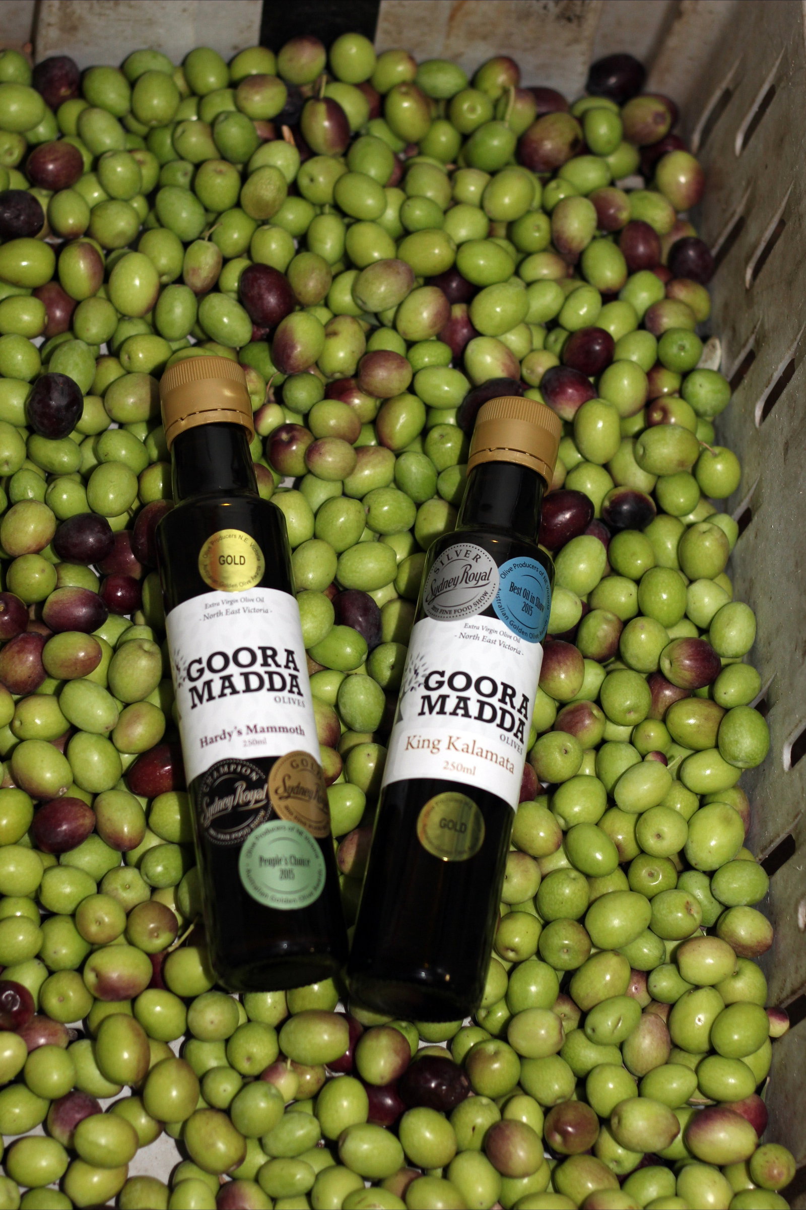 Gooramadda VIC Newcastle Accommodation