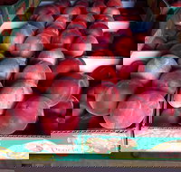 Martins Orchard - Newcastle Accommodation