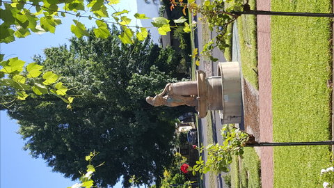 Michelini Wines - Newcastle Accommodation 1