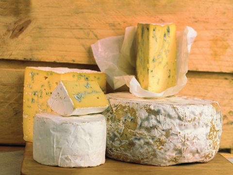 Cheese Shop At Makers' Workshop Burnie - The - Newcastle Accommodation 1