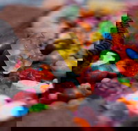 Rosebud Charcoal Chicken - New Castle Tourism