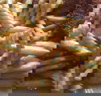 Fish Food with a Difference - Newcastle Accommodation