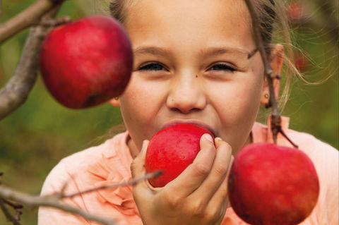 Suttons Juice Factory And Cidery - New Castle Tourism 2