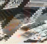 Seasalt - Newcastle Accommodation