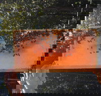 Clayridge Honey - Newcastle Accommodation