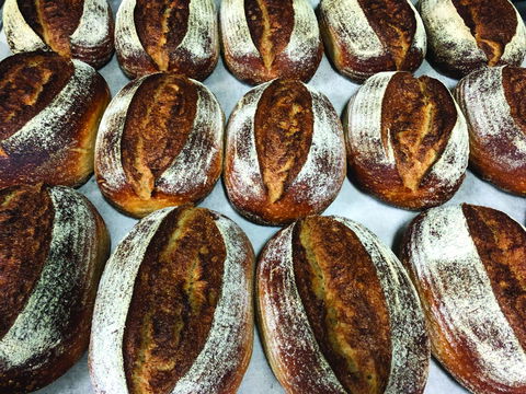 Farmer's Bakehouse - Newcastle Accommodation 0