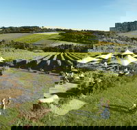 Montalto - New Castle Tourism