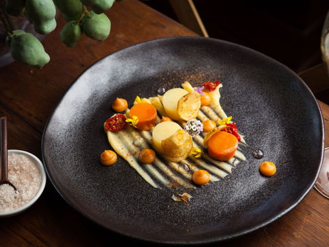 The Peak Restaurant At Spicers Peak Lodge - New Castle Tourism 2
