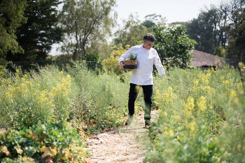 The Wild Flower Bar And Dining - Newcastle Accommodation 2