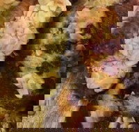 Silky Oak Espresso - Newcastle Accommodation