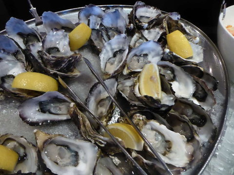 View 42o - Newcastle Accommodation 0