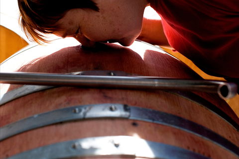 Yarrh Wines - Newcastle Accommodation 2