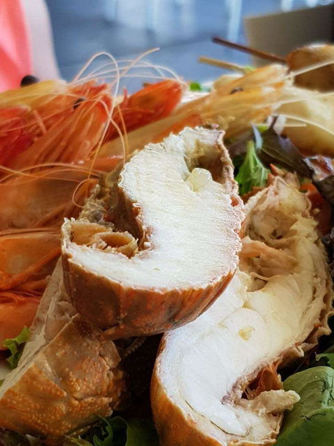 Bribie Island Surf Club - Newcastle Accommodation 0