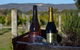 John Kosovich Wines - thumb 0